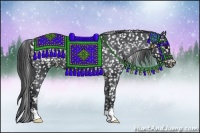 Horse Color:Black Appaloosa Rabicano 