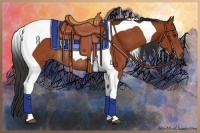 Horse Color:Bay Tobiano Rabicano