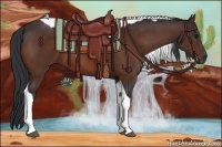 Horse Color:Bay Tobiano 