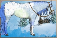 Horse Color:Watercolor Bay Ice Appaloosa Rabicano 