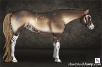 Horse Color:White Spotted Liver Red Onyx Sabino 