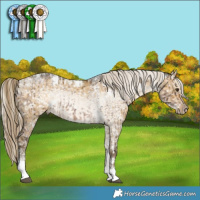 Horse Color:White Spotted Liver Red Dun Ice Mushroom Splash Tobiano Brindle  and White Spotted Chocolate Palomino Ice Dun Mushroom Tobiano Brindle 