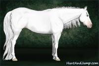 Horse Color:Gray Silver Amber Cream Champagne Roan Dun Splash Tobiano Rabicano 