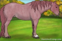 Horse Color:Watercolor Red Roan 