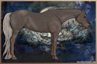 Horse Color:Silver Black 