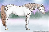 Horse Color:Liver Chestnut Sabino Frame Appaloosa 