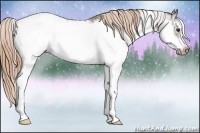 Horse Color:Liver Chestnut Sabino Frame Appaloosa 