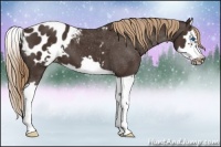 Horse Color:Liver Chestnut Splash Frame Appaloosa 