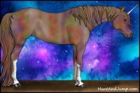 Horse Color:Nacre Chestnut 