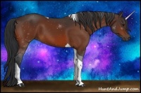Horse Color:Bay Tobiano 