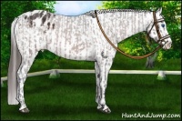 Horse Color:Brown Roan Sabino Splash Varnish  and Brown Sabino Splash Varnish 