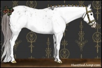Horse Color:Brown Sabino Splash Blanket and Brown Sabino Splash Blanket