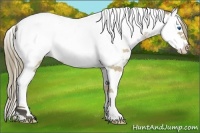 Horse Color:Buckskin Splash Tobiano Near Fewspot 