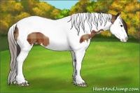 Horse Color:Plaid  Bay Splash Tobiano 