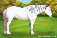 Horse Color:Chestnut Splash Tobiano
