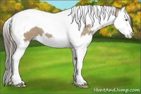 Horse Color:Classic Cream Champagne Sabino Splash Tobiano 