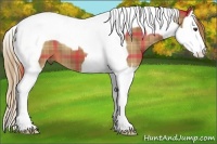 Horse Color:Plaid  Chestnut Splash Tobiano 