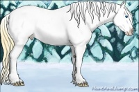 Horse Color:White Spotted Smoky Black Splash Appaloosa
