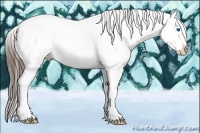Horse Color:Bay Sabino Splash Snowcap