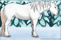 Horse Color:Chestnut Splash Varnish Rabicano