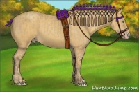 Horse Color:Amber Cream Champagne  and Gold Champagne 