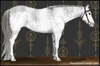 Horse Color:White Spotted Black Sabino Varnish 