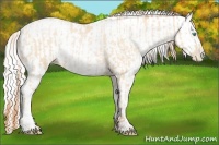 Horse Color:Buckskin Roan Pearl  and Amber Cream Champagne Roan Pearl 