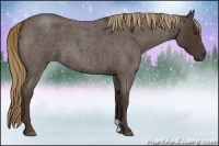 Horse Color:Liver Red Roan 