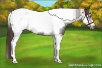 Horse Color:Liver Chestnut Tobiano Frame Rabicano 
