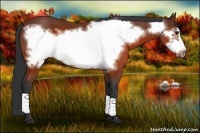 Horse Color:Brown Frame
