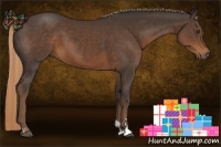 Horse Color:Liver Chestnut Sabino
