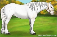 Horse Color:Silver Bay Dun Tobiano Near Fewspot 