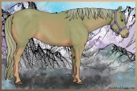 Horse Color:Watercolor Palomino 