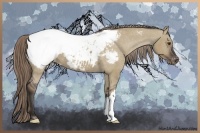 Horse Color:Liver Red Dun Appaloosa 