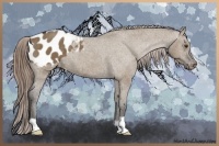 Horse Color:Liver Red Dun Appaloosa 