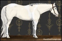 Horse Color:Cremello Dun Tobiano