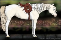 Horse Color:Perlino Dun Tobiano 