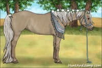 Horse Color:Silver Smoky Grullo Rabicano 