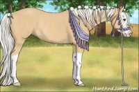 Horse Color:Palomino Splash Rabicano 