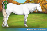 Horse Color:Buckskin Roan Tobiano Appaloosa