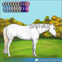 Horse Color:Smoky Blue Roan Tobiano Varnish 