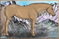 Horse Color:Palomino Rabicano