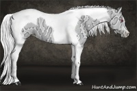 Horse Color:Chocolate Silver Smoky Grullo Chinchilla Ice Pearl Tobiano 