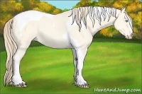 Horse Color:Perlino Dun Tobiano 