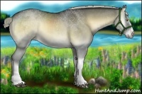 Horse Color:Chocolate Palomino Onyx 