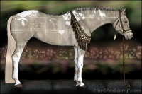 Horse Color:Plaid Chocolate Palomino Dun Tobiano