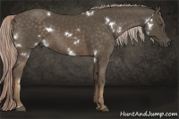 Horse Color:White Spotted Chocolate Palomino 
