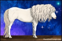 Horse Color:Perlino Dun Tobiano 