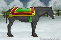 Horse Color:Smoky Black 