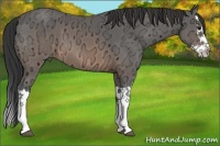 Horse Color:Buckskin Ice Splash